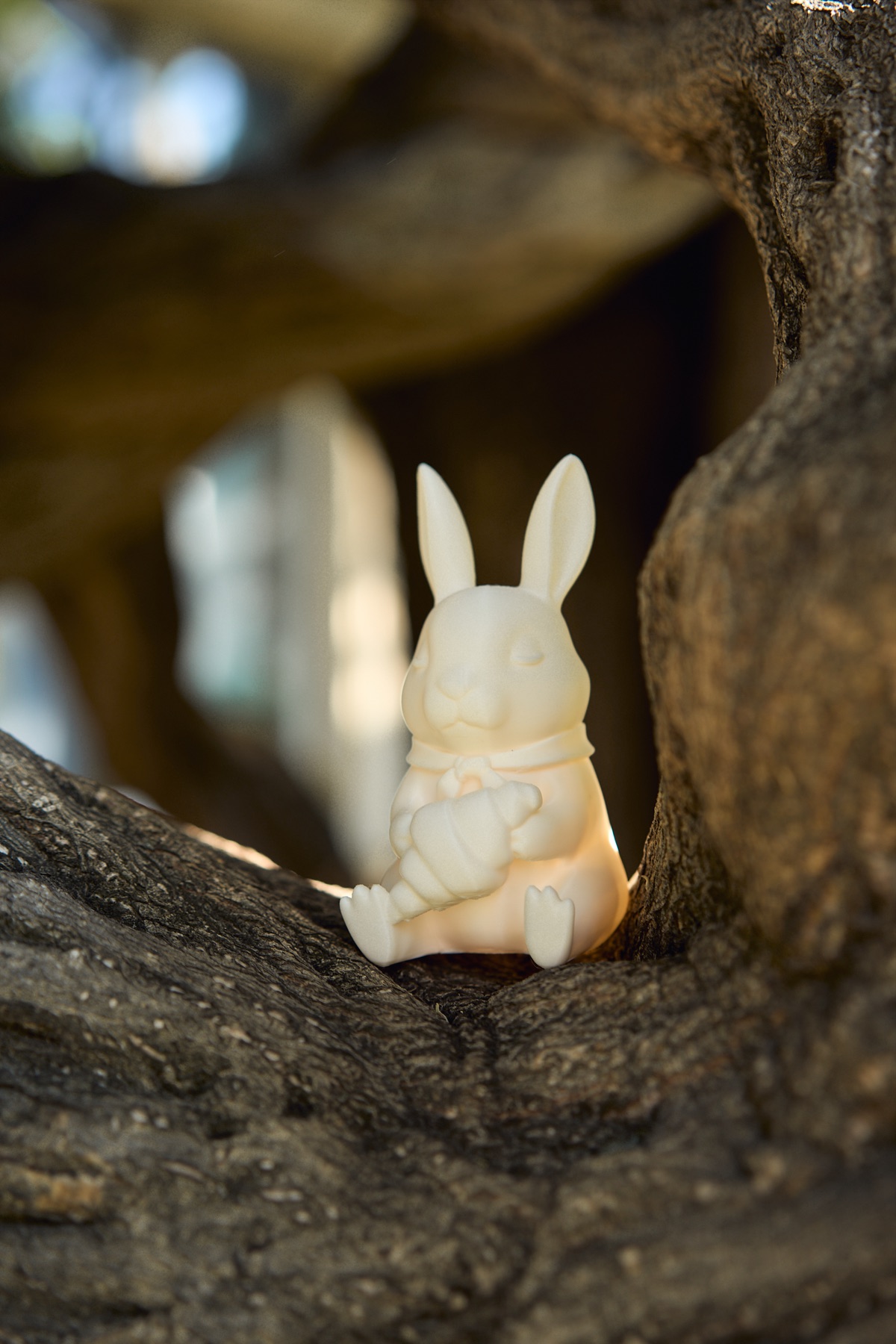 Colette, a small white bunny, in a sunlit hollow of a tree